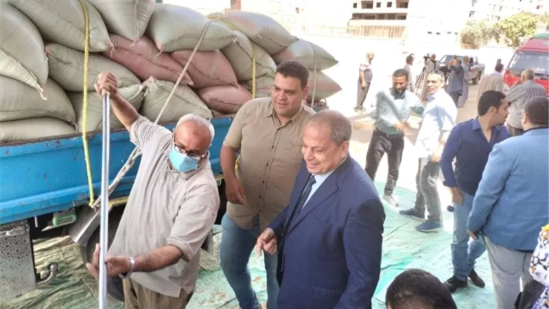 توريد 23 طن من القمح بالشون والصوامع الحكومية بمراكز المنيا