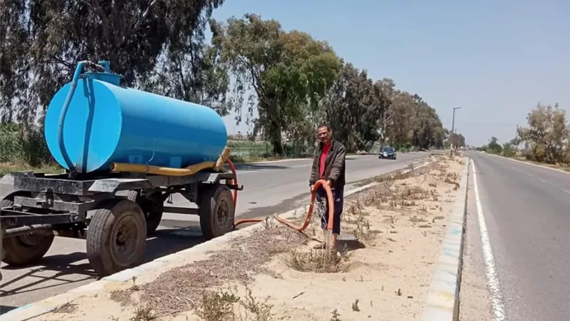 تكثيف أعمال النظافة والإنارة بالتل الكبير في الإسماعيلية