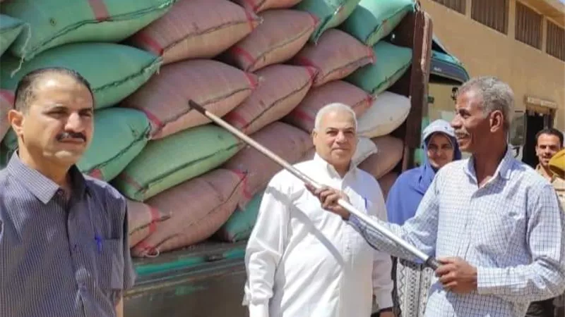 محافظ سوهاج: توريد 2401 طن قمح منذ بدء الموسم دون معوقات