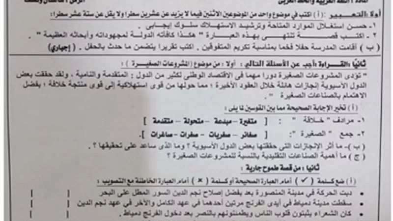 نموذج امتحان استرشادي لغة عربية للصف الثالث الإعدادي ترم ثاني