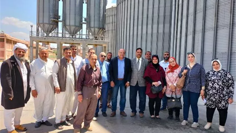 بدء توريد محصول القمح من المساحة المنزرعة 21933 فدان بالاسكندرية