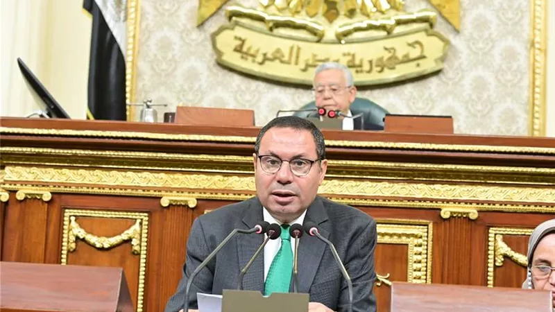 النائب أيمن أبو العلا يتقدم باقتراح لحظر إهمال الحيوانات أو تعذيب