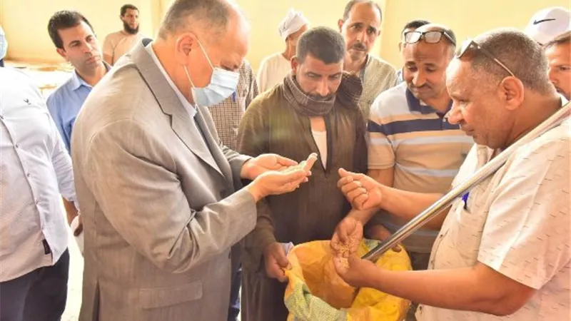 محافظ أسيوط يعلن ارتفاع توريد محصول القمح الى 2131 طن