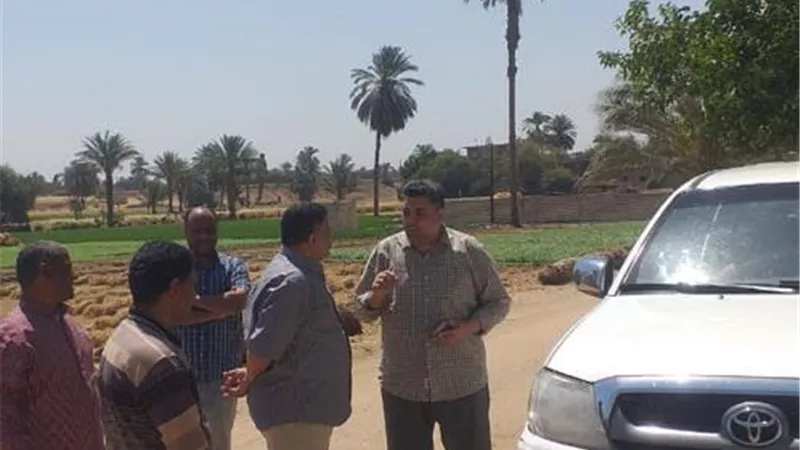تنفيذ 