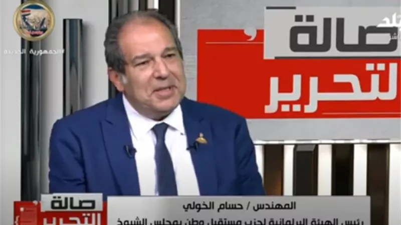 حسام الخولي يكشف تفاصيل جلسات عمل الحوار الوطني الفترة المقبلة