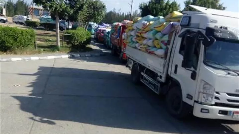 صوامع وشون الشرقيةتستقبل ٢٣٣٤٨ طن و٢٢٢كيلو ذهب أصفر