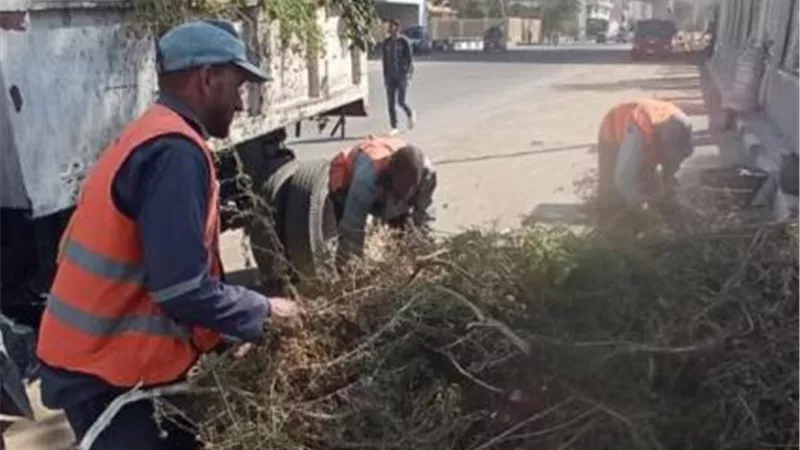 متابعة أعمال النظافة بحيِّ أول الإسماعيلية