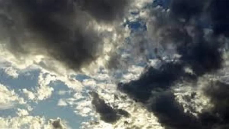 دراسة: 