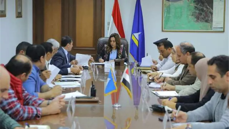 محافظ دمياط تتابع منظومة توريد محصول القمح