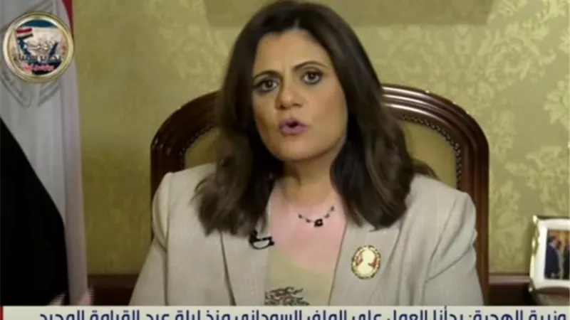 وزيرة الهجرة: أصغر طفل مصري أعدناه من السودان عمره 25 يوما