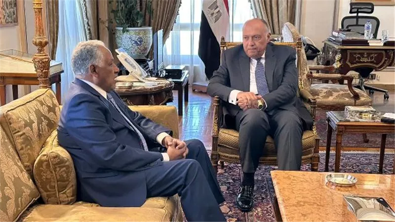 وزير الخارجية يستقبل المبعوث الخاص لرئيس مجلس السيادة السودانى
