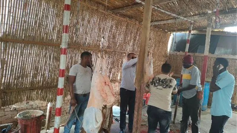 بيطرى الجيزة يحرر 6 محاضر ويضبط 2 طن لحوم