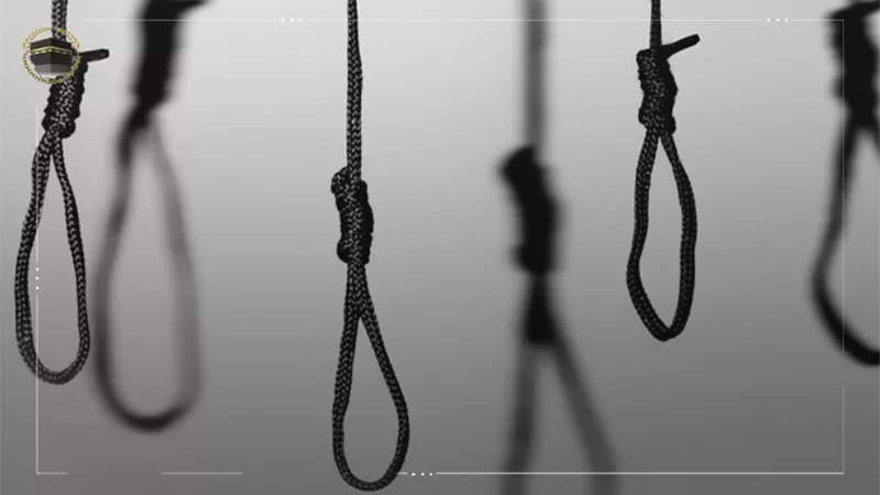 إحالة أوراق نجار لفضيلة المفتى ..تعدى على نجلته بالإكراه