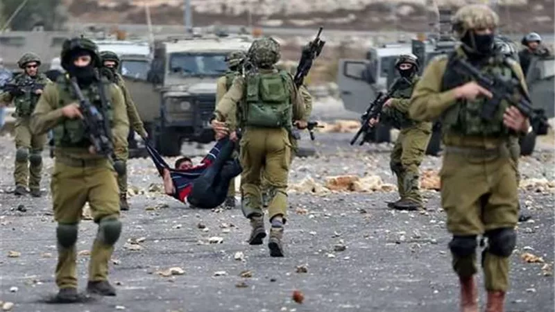 الاحتلال يعتقل مواطنا فلسطينيا وعددا من المتضامنين بالخليل