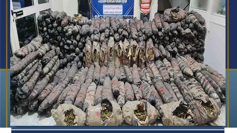 سقطا بالحشيش واعترفا علي نفسهم بتخزين طن بانجو بالقنطرة شرق