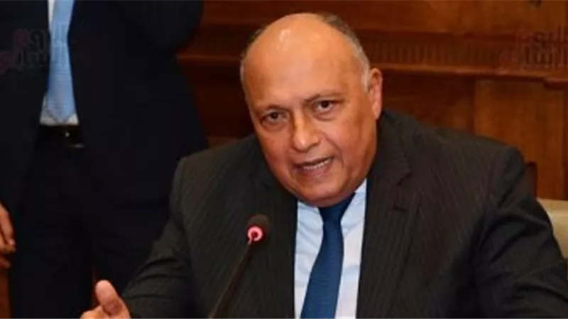 اليوم.. وزير الخارجية يجري مباحثات مع رئيس مجلس النواب الأمريكي