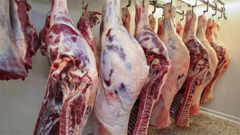 ارتفاعاً في سعر كيلو اللحوم السودانية بالمجمعات الاستهلاكية