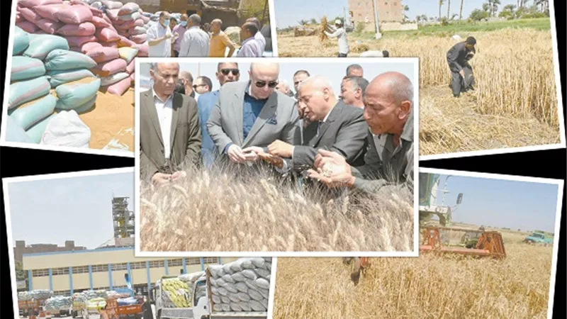 طوابير القمح المصري.. في المحافظات