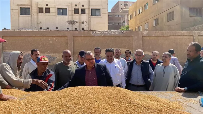 توريد 60 ألف طن قمح بالشون والصوامع الحكومية بمراكز المنيا