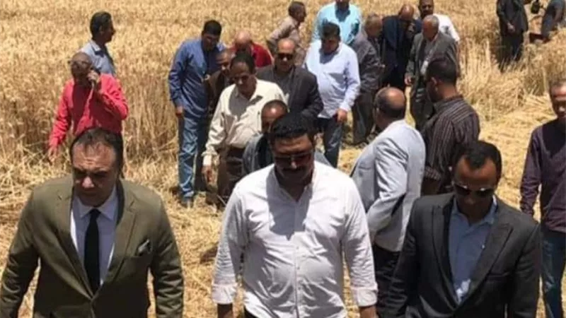 متابعة توريد القمح بزراعات المدرسة الثانوية الزراعية بملوي