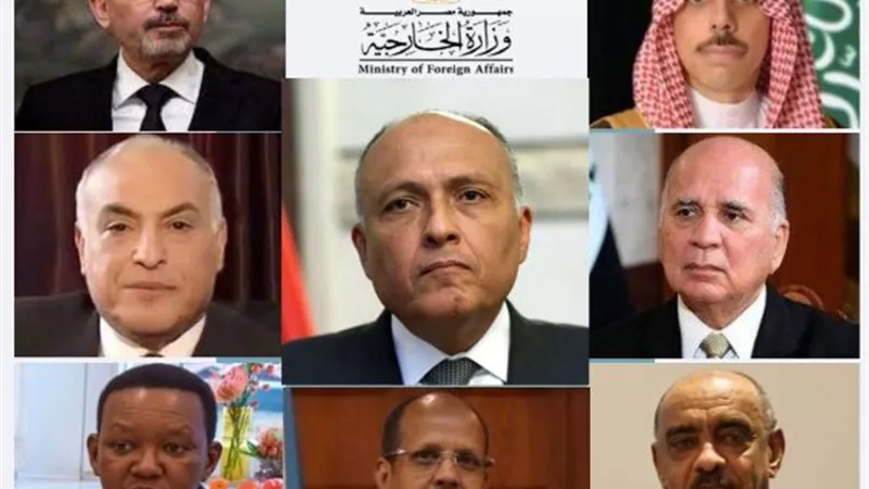 سامح شكري يجري اتصالات هاتفية مع وزراء خارجية 7 دول