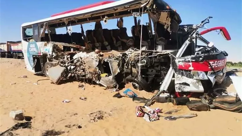 ليلة دامية في الوادى الجديد راح ضحيتها ١٧ مواطنا و٢٩ مصاب