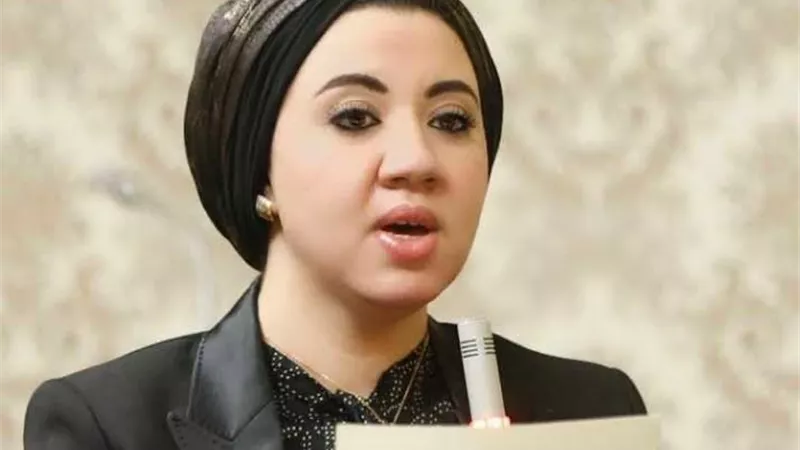 عضوة الحوار الوطني: يوم أمس كان فارقا في تاريخ الدولة المصرية