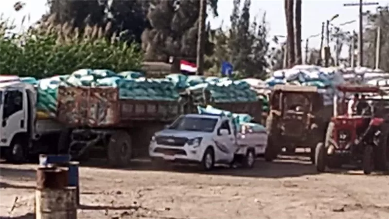محافظ دمياط تؤكد إنتظام منظومة توريد القمح بالشون والهناجر