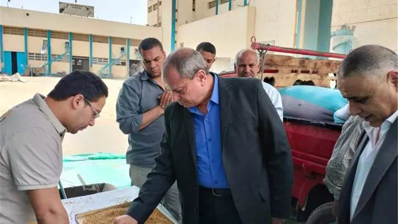 توريد 91 ألف طن من القمح بالشون والصوامع الحكومية بمراكز المنيا