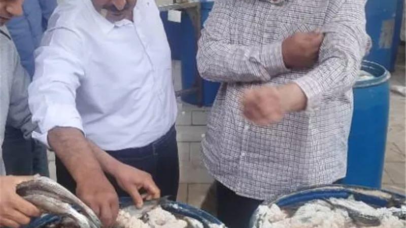 إعدام 3 أطنان أغذية فاسدة وإغلاق ١٤ منشأة مخالفة بالشرقية