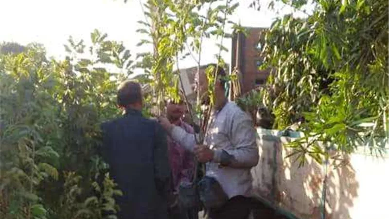 وزير الزراعة: الانتهاء من المرحلة الأولى لزراعة 100 مليون شجرة