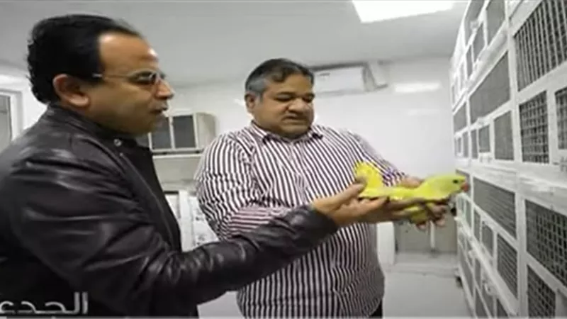 فيديو.. خبير يكشف عن إكثار حيوانات انقرضت من ٥٠ مليون سنة