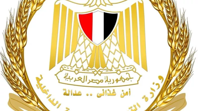وزير التموين: وصول نسب توريد القمح المحلي إلى 1.2 مليون طن