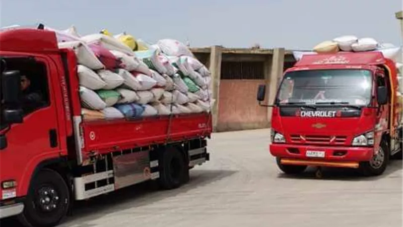تخزين٢٣٥٨٣ طن و٨٠٣ كيلو من الذهب الأصفر بالشرقية