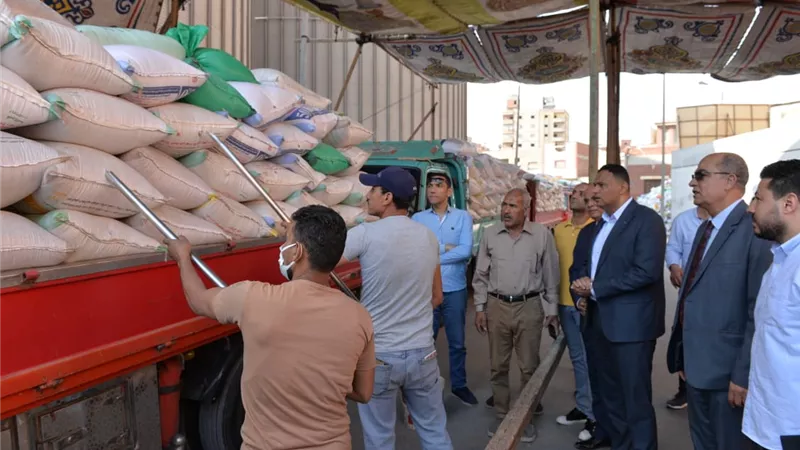 محافظ الدقهلية: تم توريد ١٥٠ الف طن قمح فى ٣٩ موقع