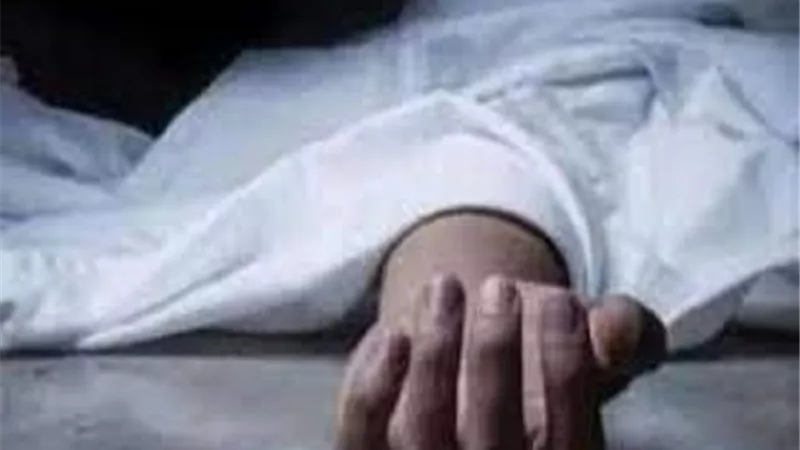 تفاصيل مقتل شخص بالقليوبية .. رفض ترك وسيلة أكل عيشه