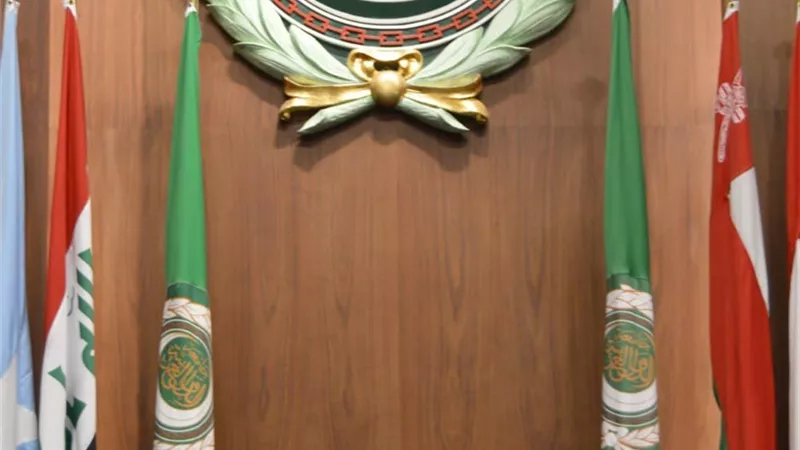 شكري يؤكد ضرورة العودة للحوار السياسي في السودان