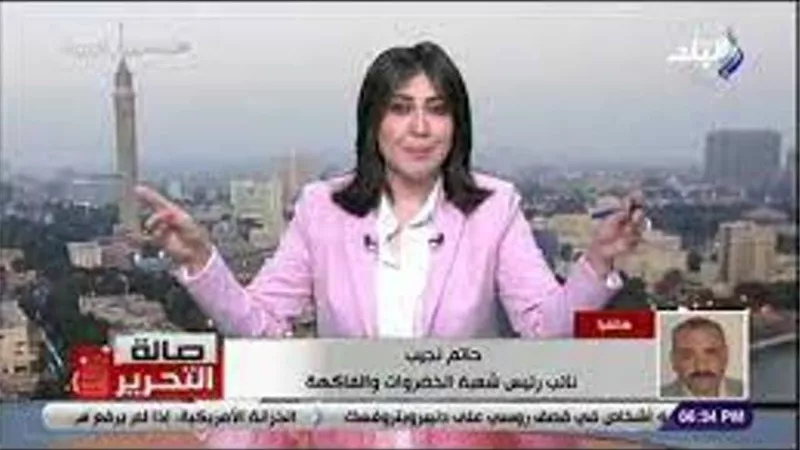 زيادة السولار لم تؤثر على أسعار الخضروات والفاكهة .. فيديو