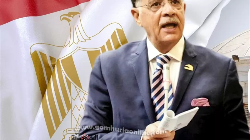 قصر الثقافة والمسرح الرومانى بالمنوفية على مائدة مجلس النواب