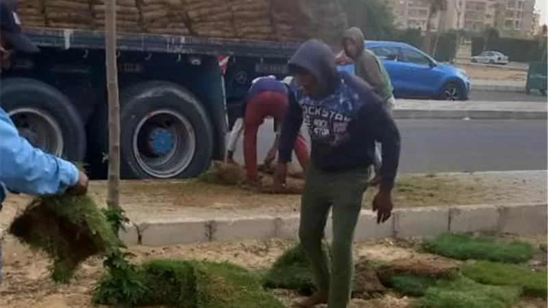 جهاز الشروق ينفذ قرارى إزالة ويستكمل تجميل المسطحات بالمدينة /صور