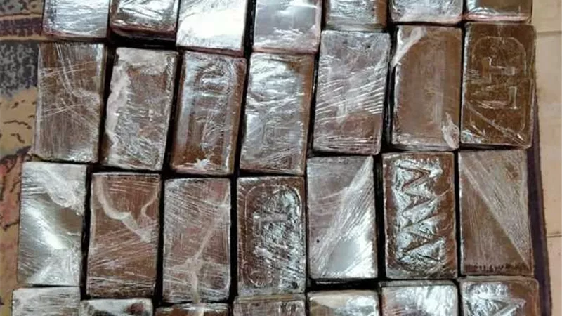 ضبط عنصر إجرامي بحوزته كمية من مخدري الحشيش والهيروين بالقاهرة