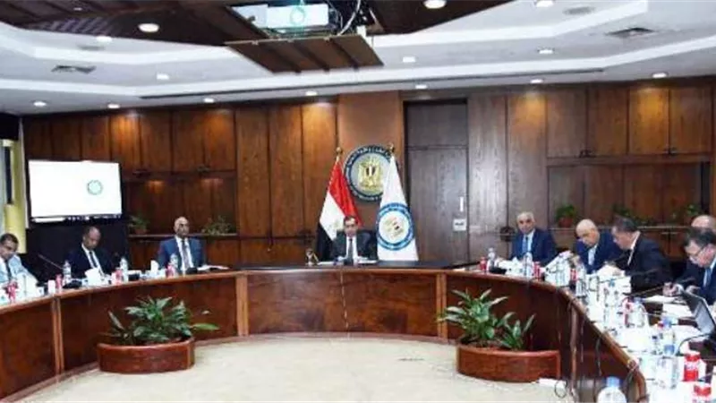 الملا يعلن بدء تنفيذ مشروع مجمع انتاج السيليكون بالعلمين الجديدة