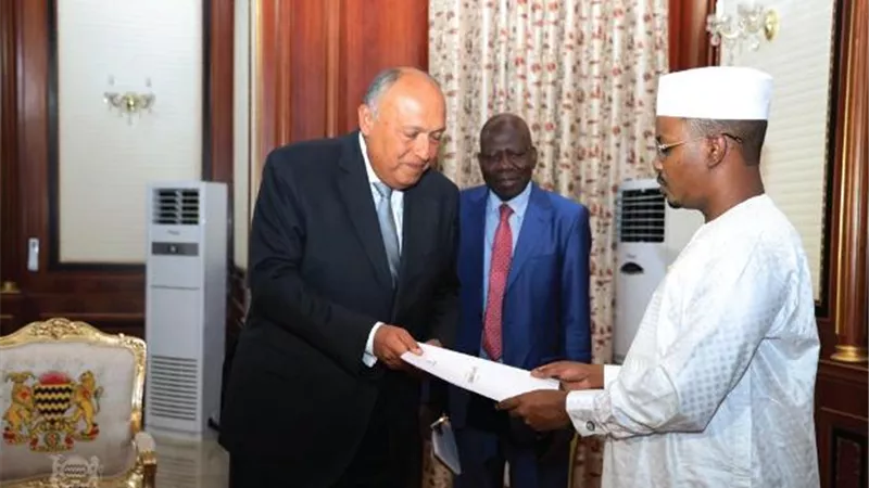 وزير الخارجية يكشف جهود مصر وتشاد لاحتواء الأزمة السودانية