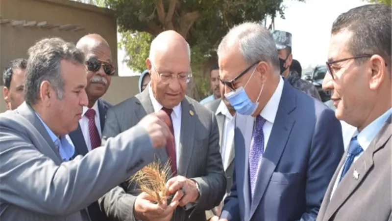 الهجان وسوسه يشهدان موسم حصاد القمح بكلية الزراعة جامعة بنها
