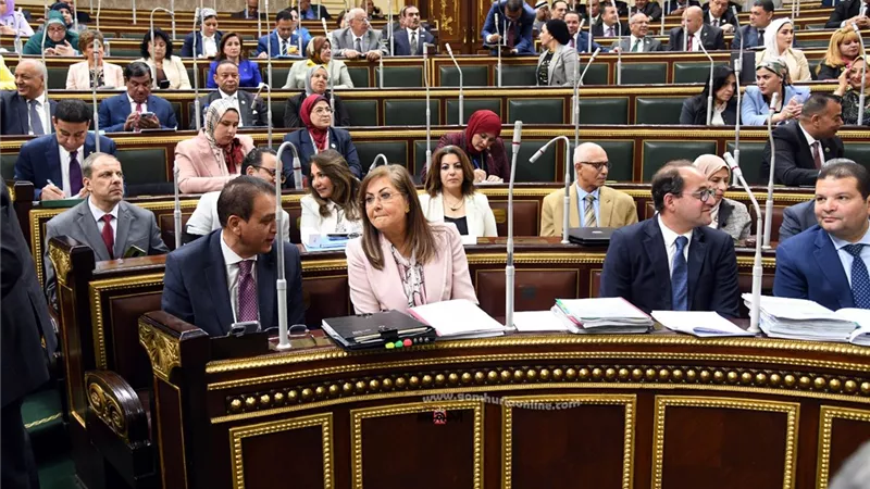 81.4 مليار جنيه استثمارات قطاع الكهرباء و321 مليار جنيه لـ النقل بخطة 23/2024