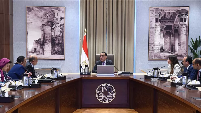 رئيس الوزراء يتابع مع وزير قطاع الأعمال عددا من ملفات الوزارة