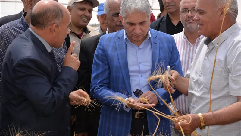 سكرتير محافظة الإسماعيلية يشهد افتتاح موسم حصاد القمح..صور