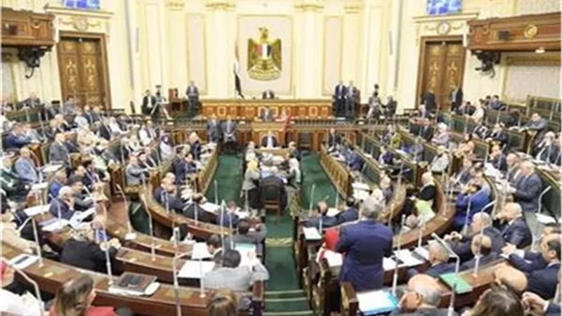 «صناعة النواب» تقرر زيارة المنطقة الصناعية بالمنيا