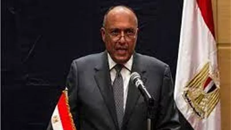 شكري:الأحداث في السودان تتطلب تفاعلا من مصر بسبب التطورات الكثيرة
