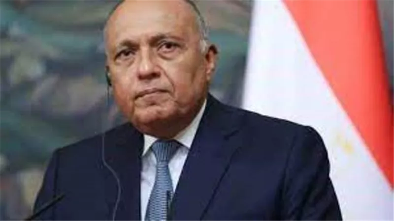 شكري يتوجه إلى برلين اليوم